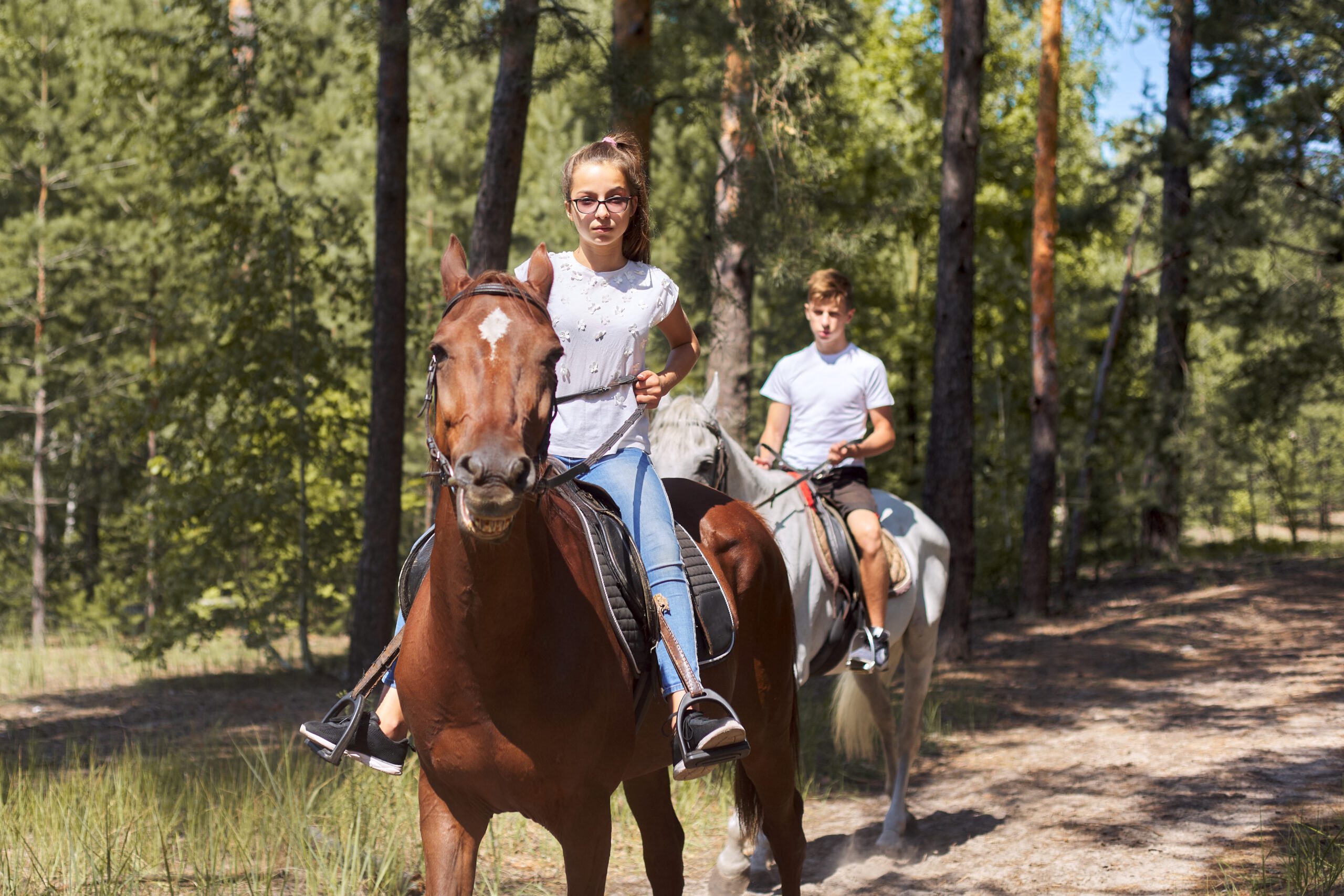 Group,Of,Teenagers,On,Horseback,Riding,In,Summer,Park.